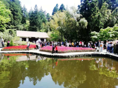 小長假前三天，廬山游客接待量創(chuàng)今年新高，景區(qū)管理舉措成效顯著