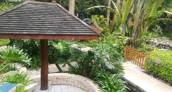 南寧嘉和城溫泉谷游覽全攻略 門票、地址、游玩路線與管理解析